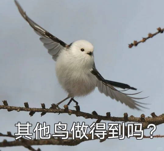 如鸢 代号鸢 躬耕南阳自动刷菌子攻略 邪修版图片-1