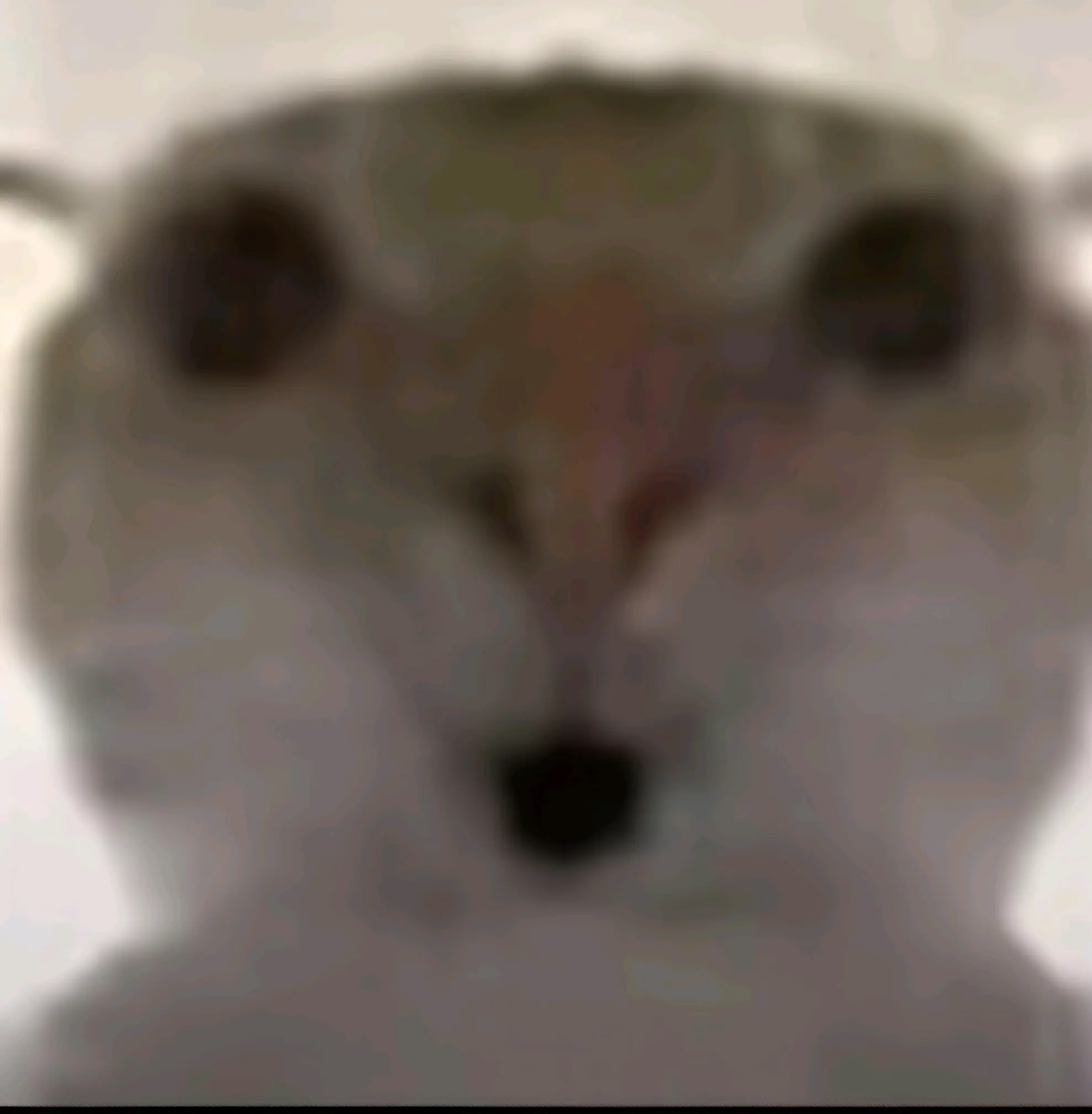 《三角洲行动》s7金枪客最具性价比改枪方案&新赛季超实用攻略!图片-4