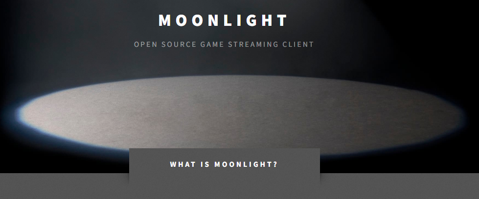 2025年度横测 谁是远程办公与游戏串流软件的全能选手图片-4